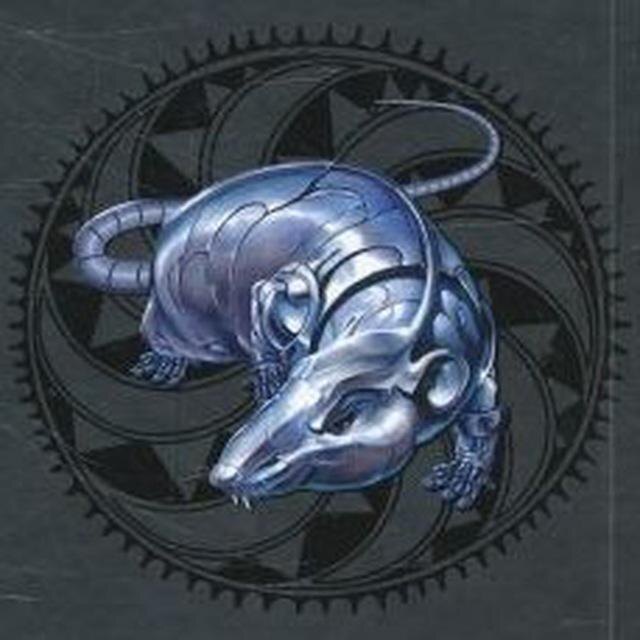 Фото из открытых источников