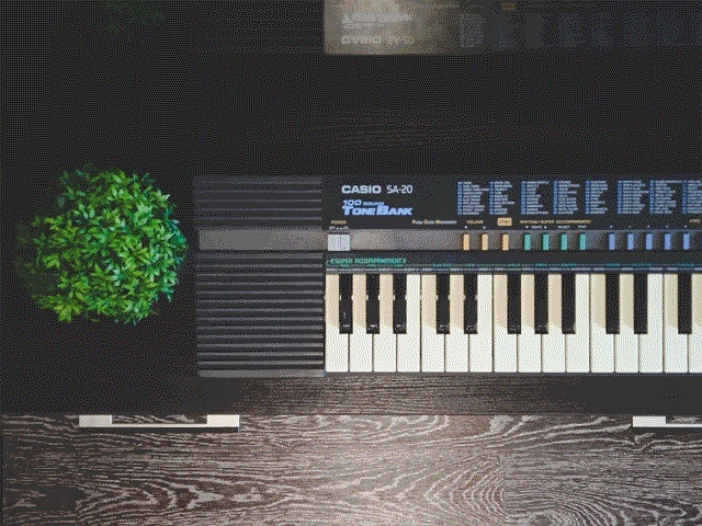 CASIO SA-20. Фото Penthouse Zen