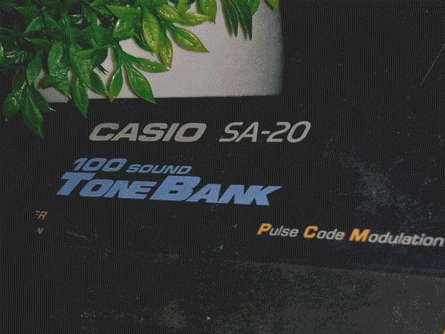 CASIO SA-20. Фото Penthouse Zen