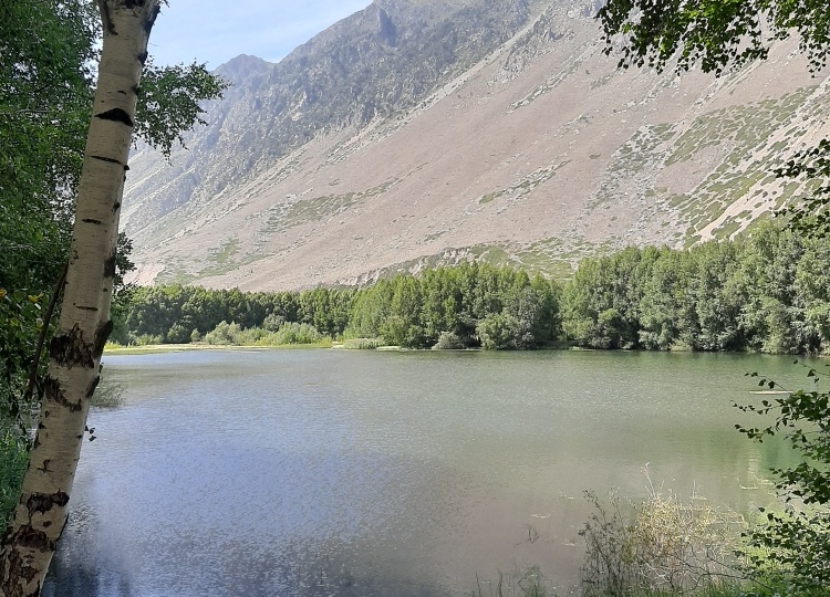 Сказы о Лисицыной. Водяной