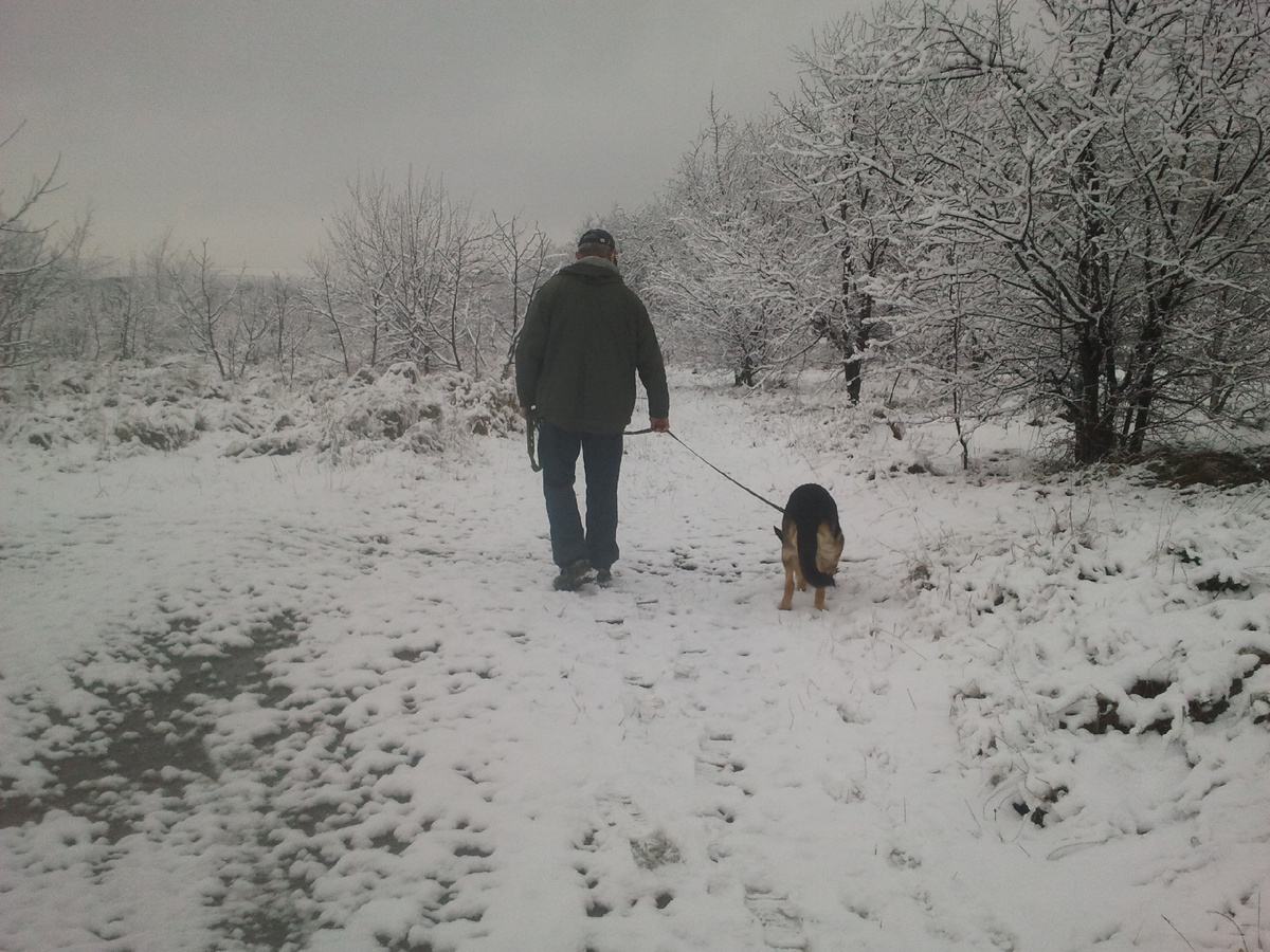 Фото автора