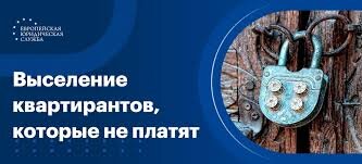 Фото из открытых источников интернета 