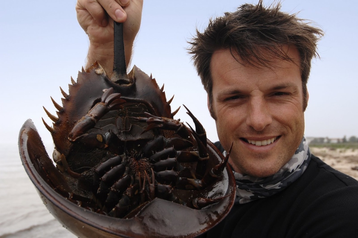 Эту жуть поймали у берегов Австралии