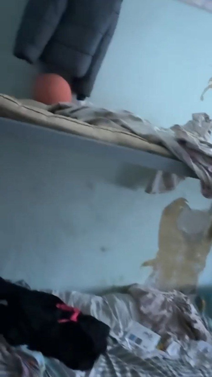 Фото: скриншот из телеграм-канала "Многонационал"