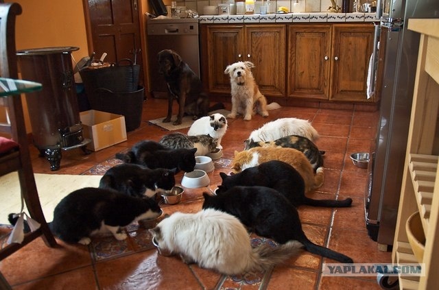 фОТО ИЗ СВОБОДНОГО ДОСТУПА