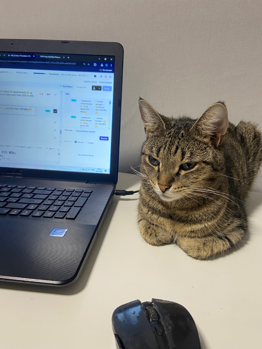 Невеселые будни младшего научного сотрудника