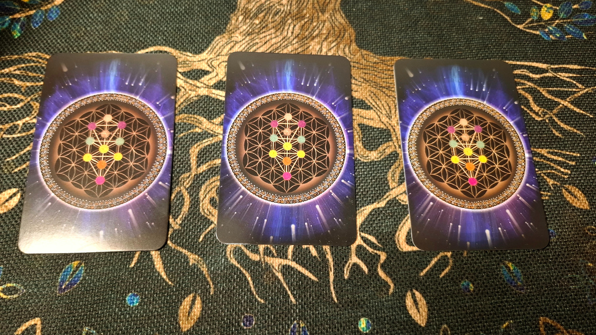 Три позиции. Выбрать необходимо одну.