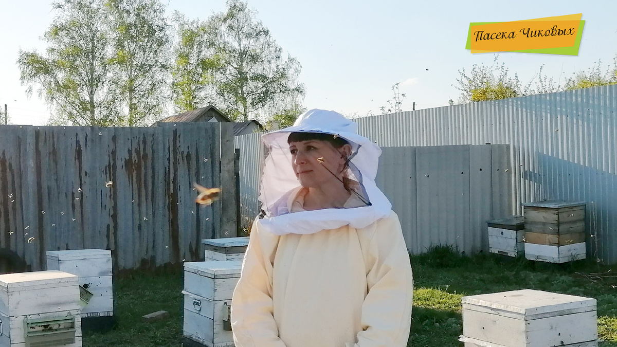 апрель, 2023 год