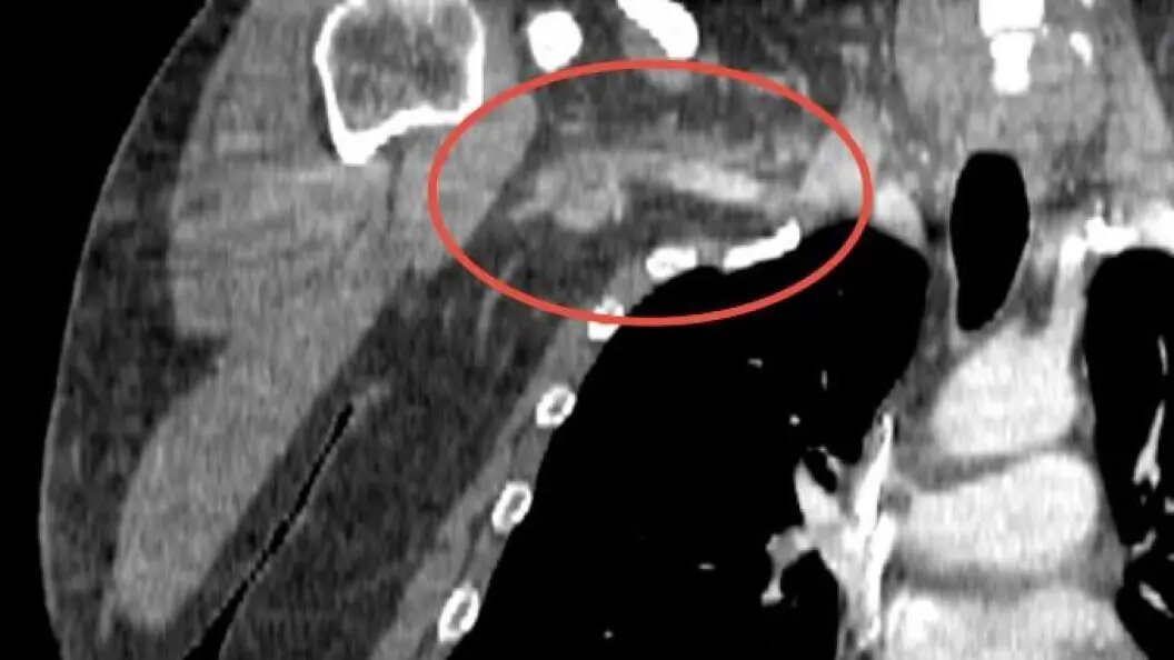    Минздрав Московской области