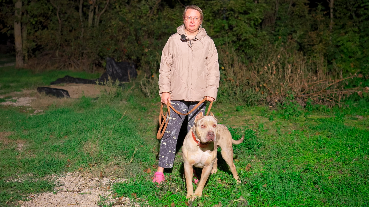 Заводчица Яна и американский булли Кинг в типе XXL