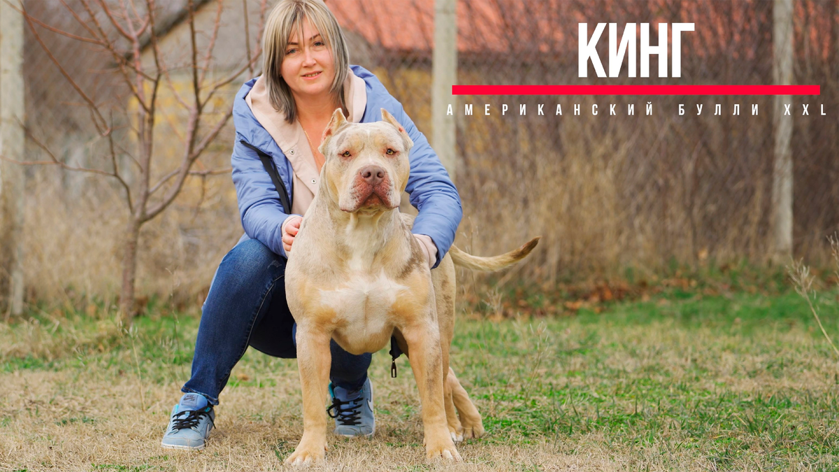 Помощница Аня и Кинг