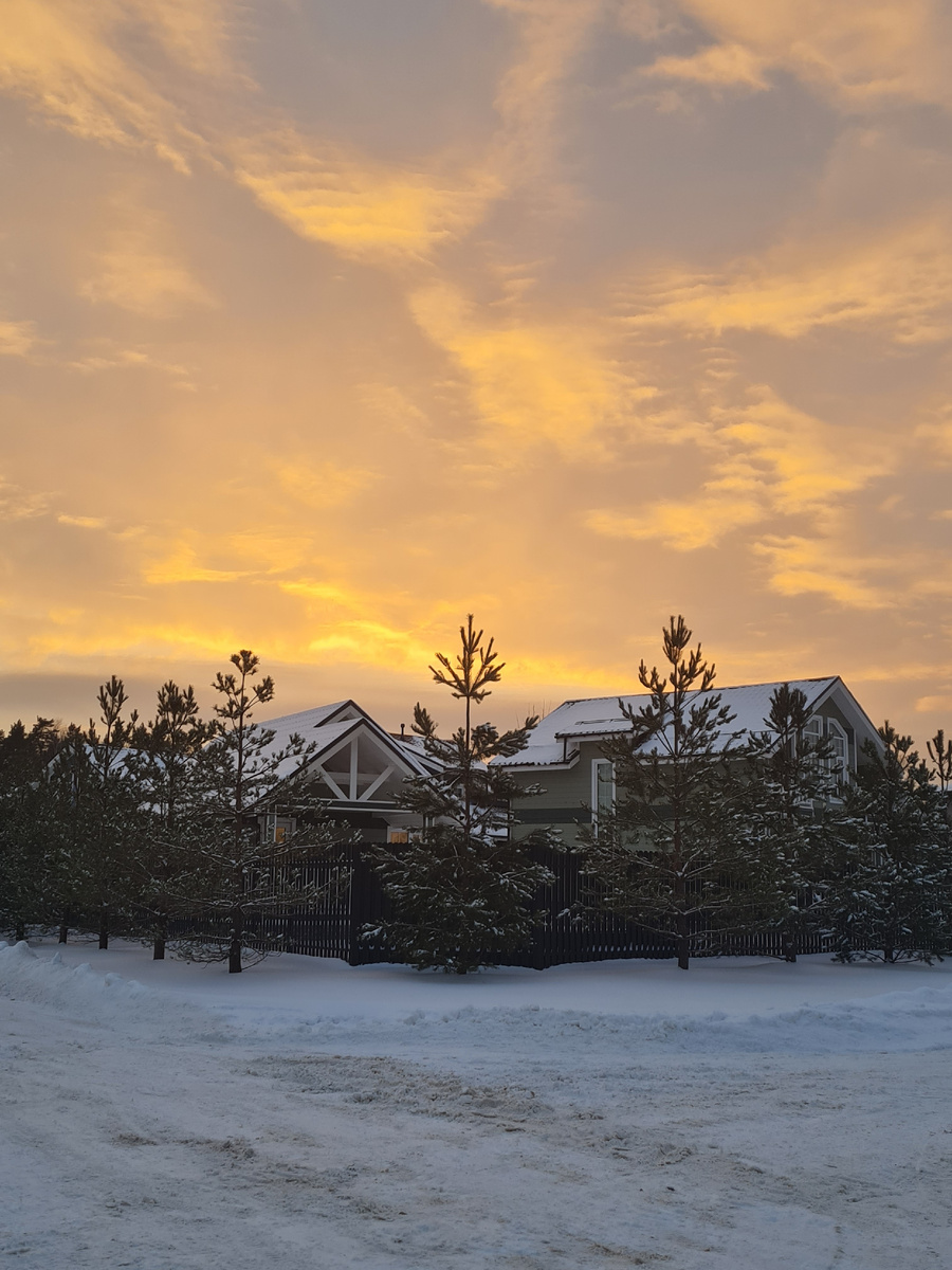 Новая реальность