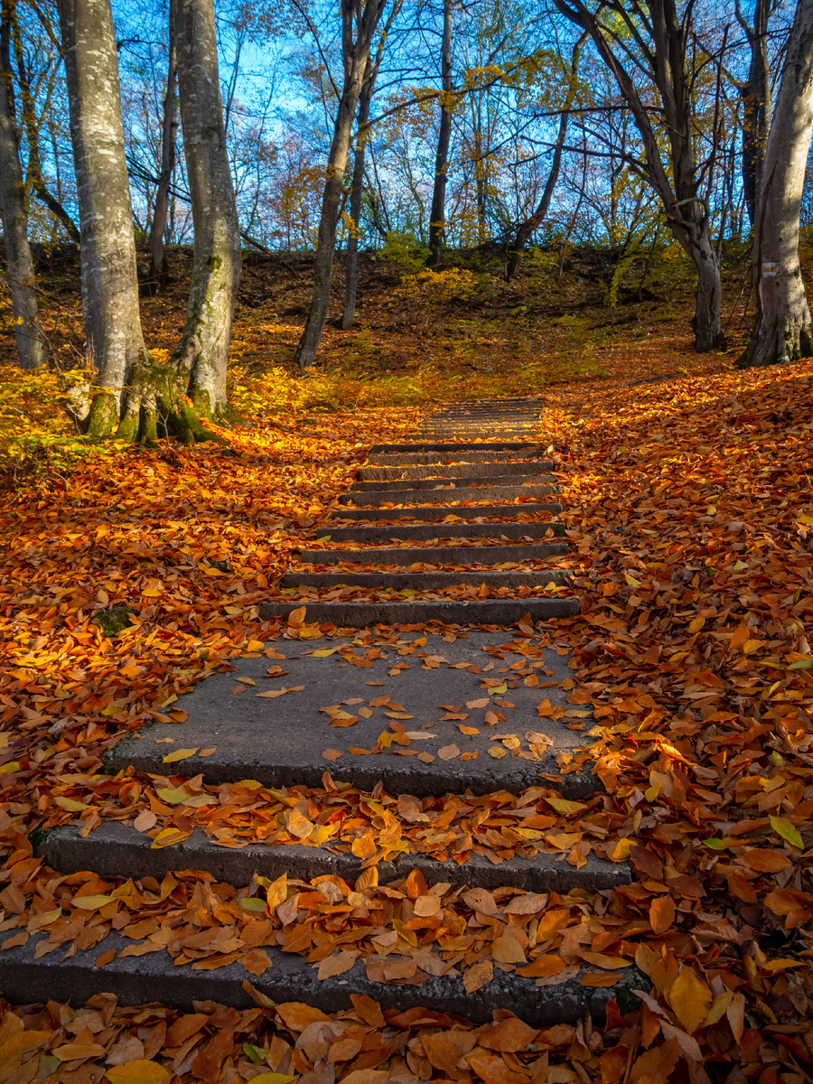 Терренкур "1000 ступеней" в ноябре 2022 года