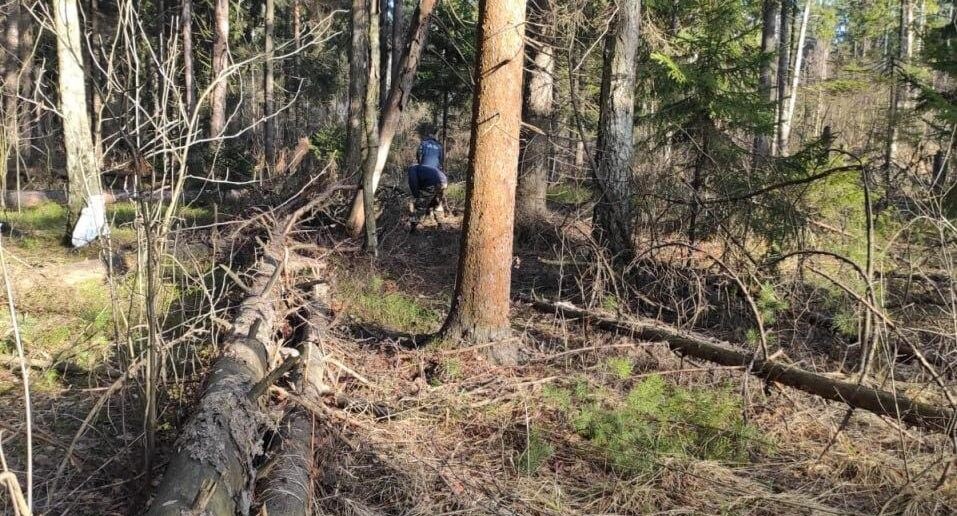    Комитет лесного хозяйства Московской области