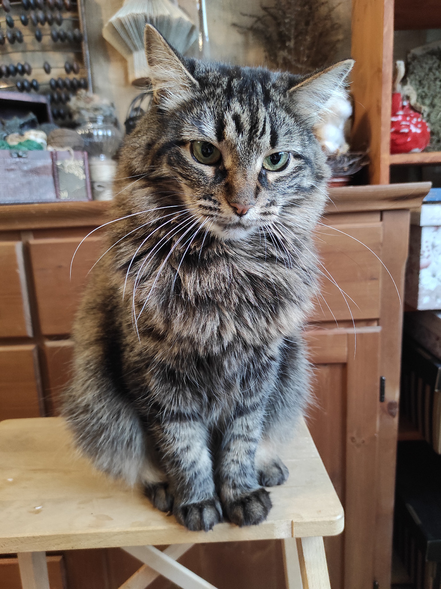 Чë буксуем? Где мой паштет любимый?!?!? 