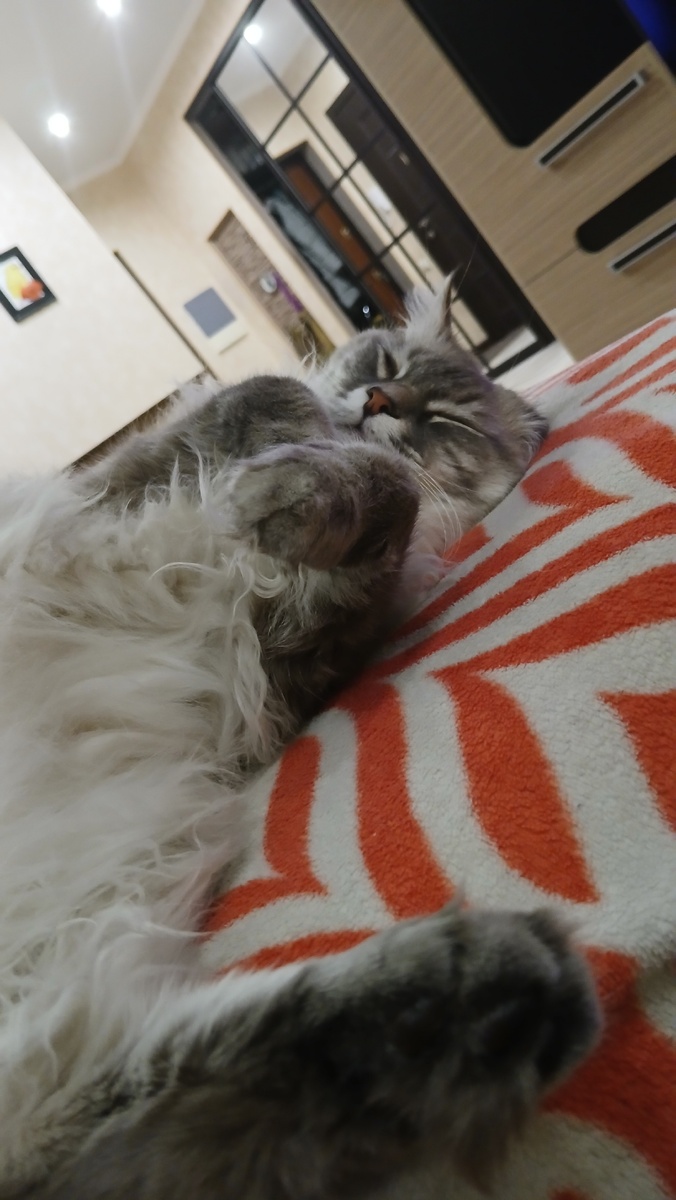 Готовлюсь...