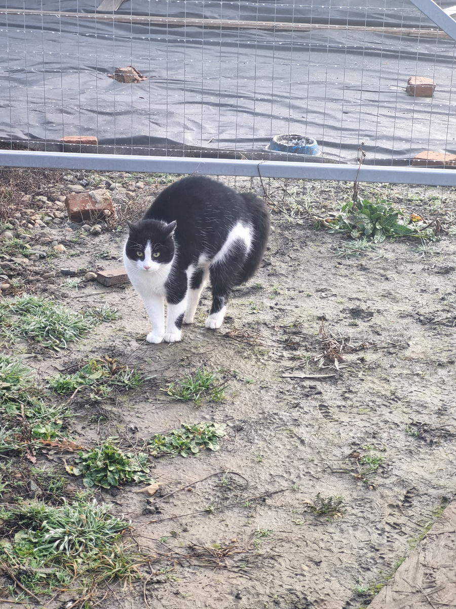 Вот, вот эта вот воинственная морда