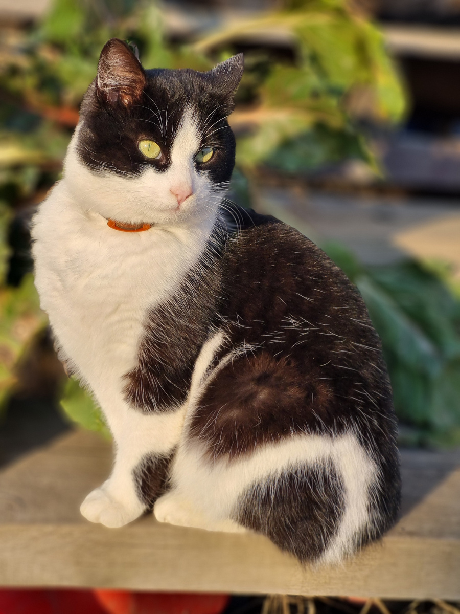 Да, это фото уже было, но оно мне нравится, а свежих нет особо