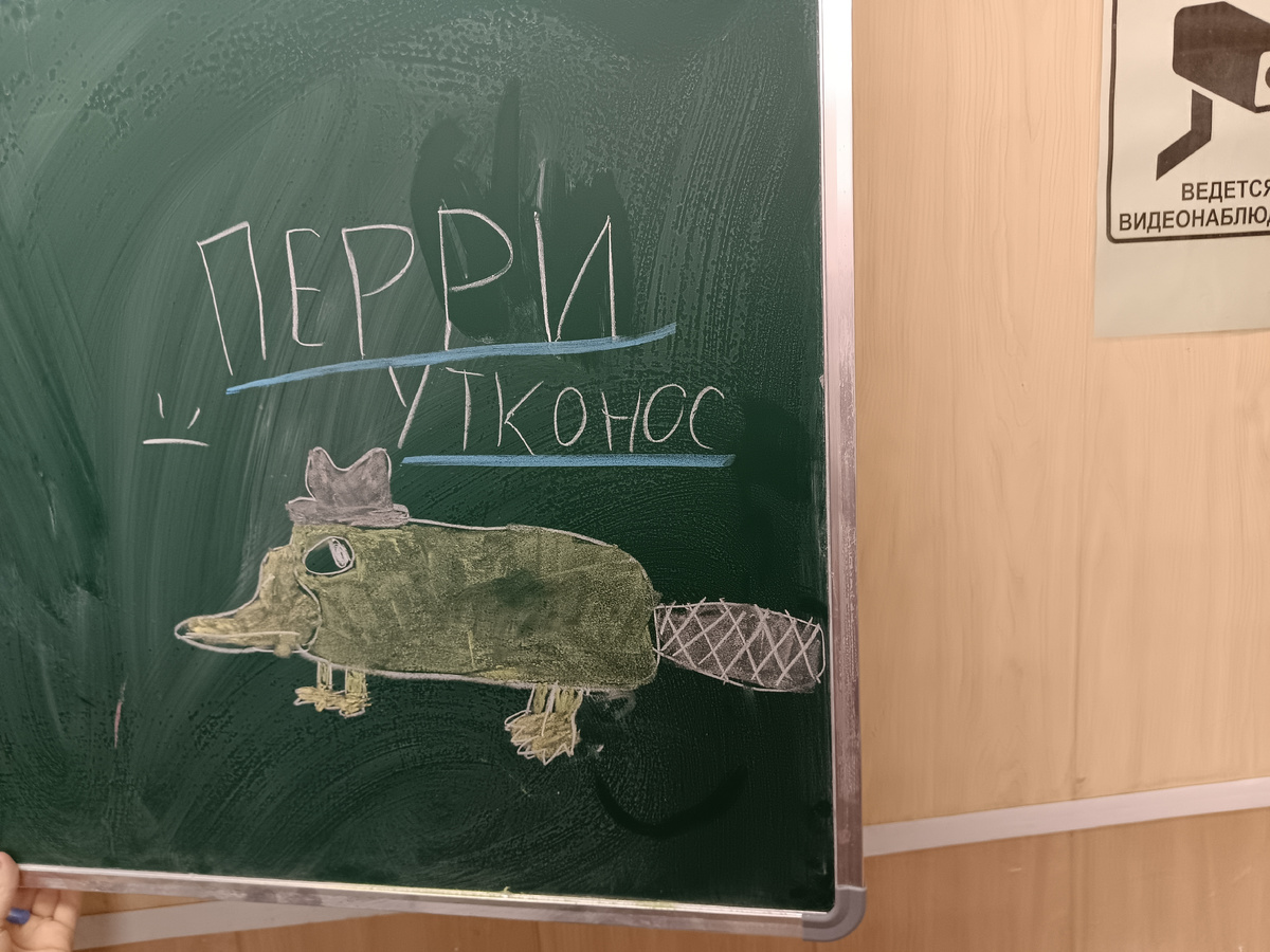 Мои всё просят завести в классе хомячка. Я пока согласна только на животных на доске