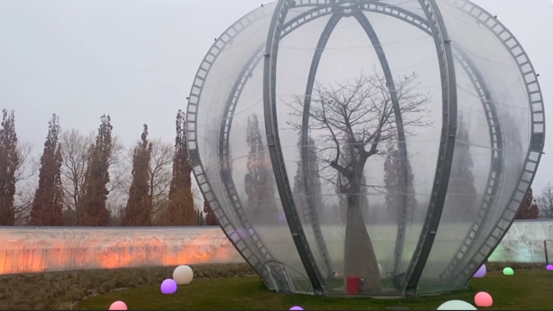 Да... экзотические деревья в Парке Галицкого накрывают на зиму вот такими теплыми "домиками" , а летом купола снимают, и растения наслаждаются открытым краснодарским солнышком.  