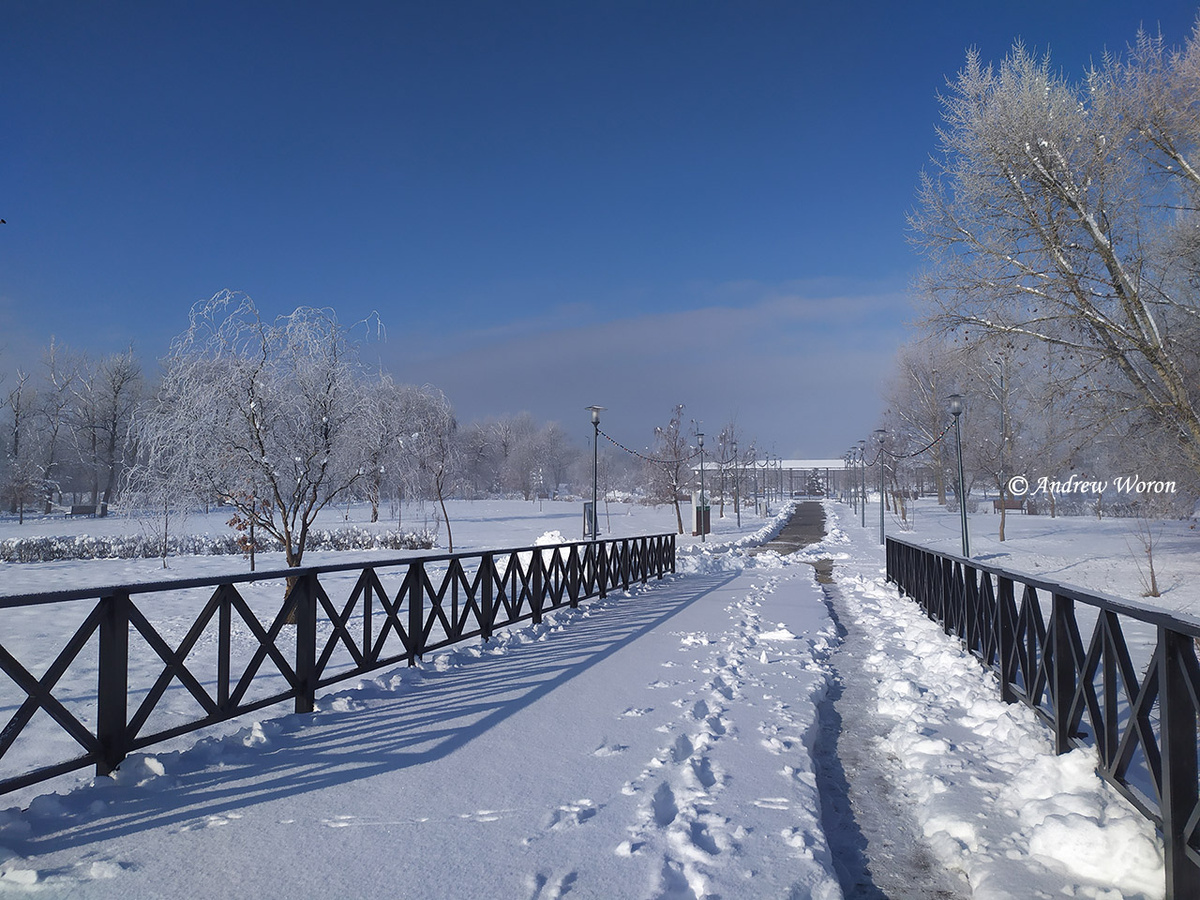 Центральная аллея Ефремовского парка