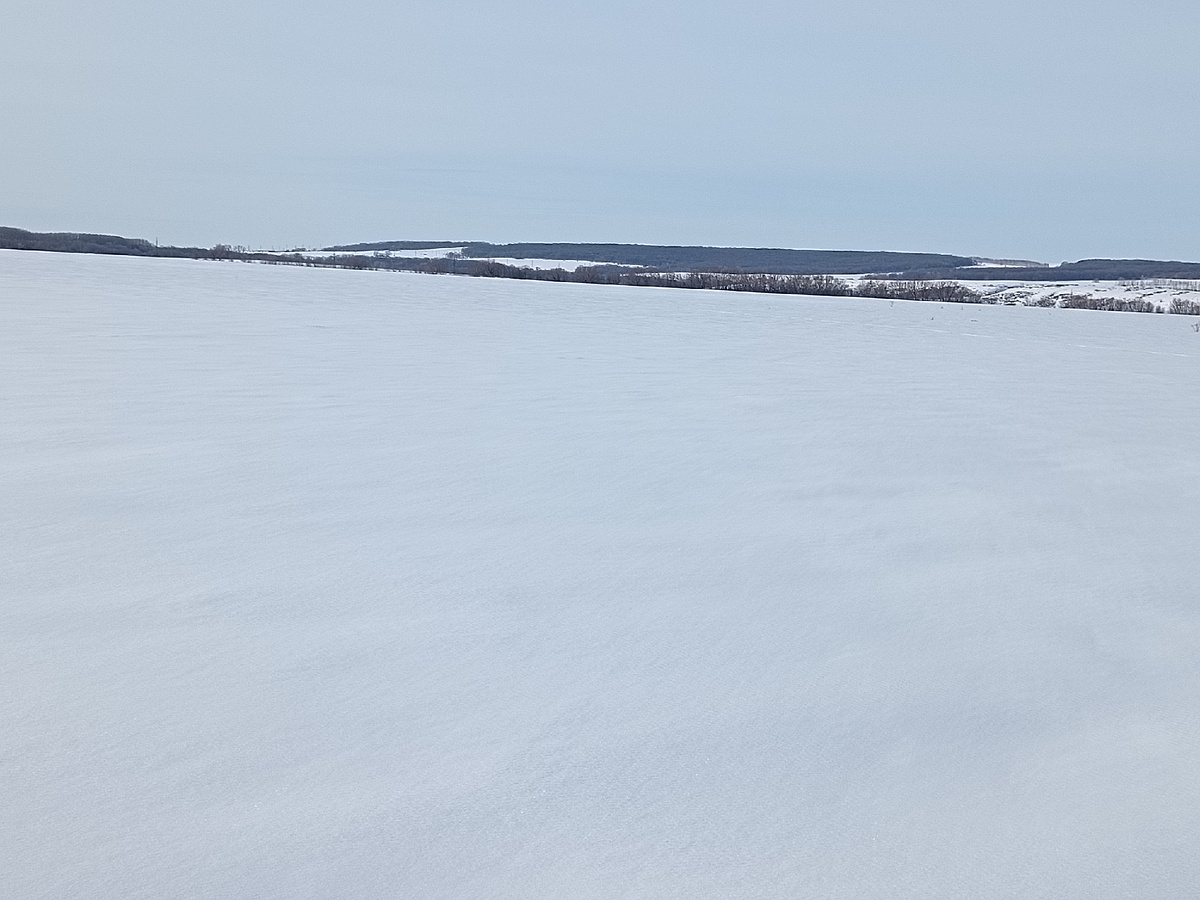 Вот по такому сплошному белоснежному покрывалу я прошла на лыжах до речки Шарла.