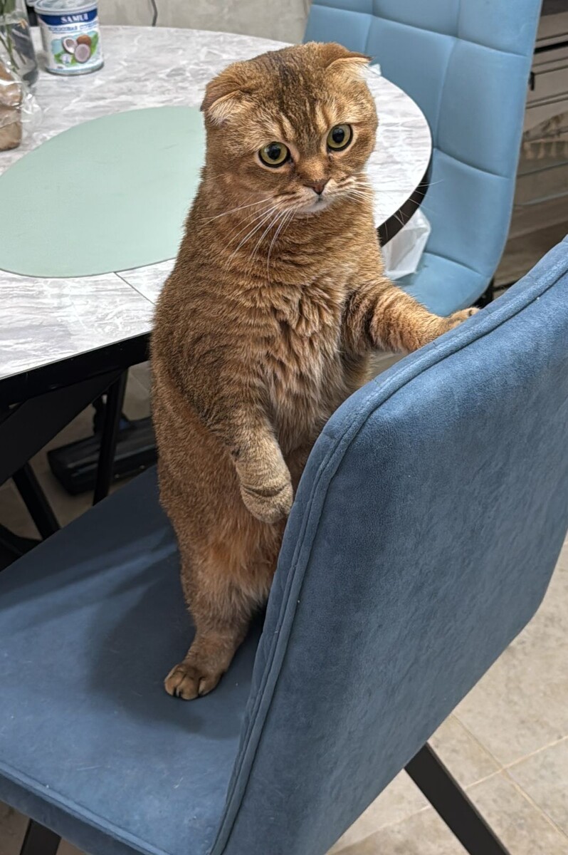 Мэй Ли (фото из личного архива)