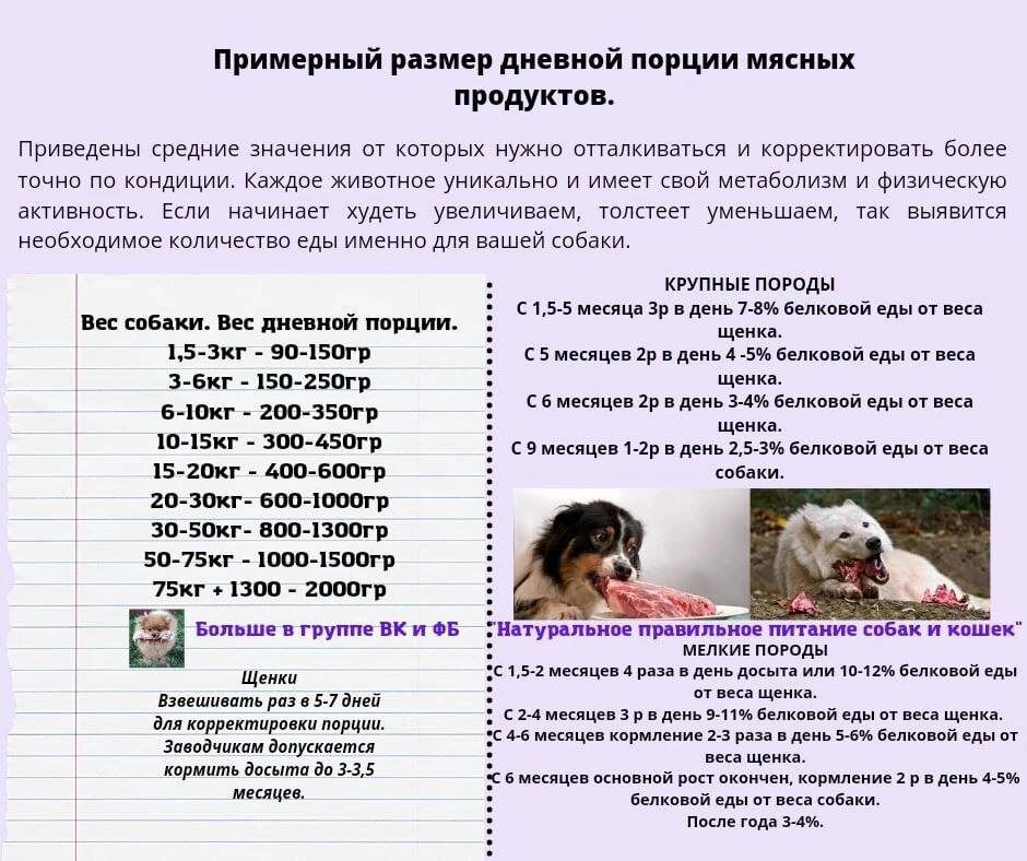 Размер дневной порции