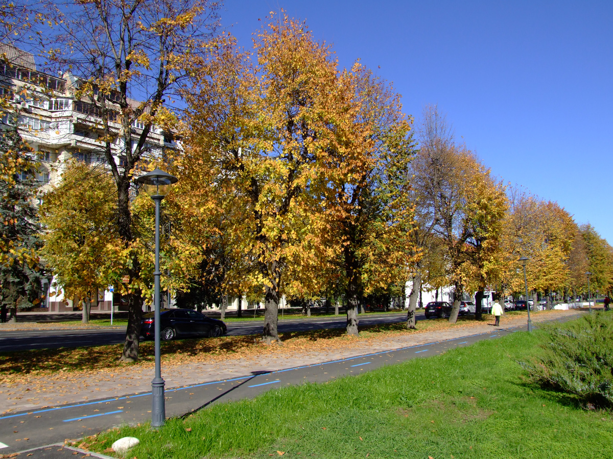 Проспект Ленина