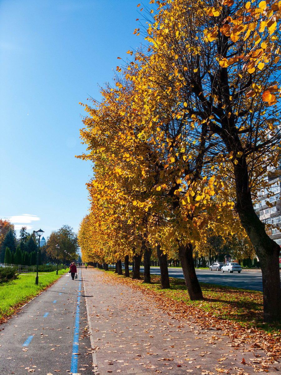 Проспект Ленина
