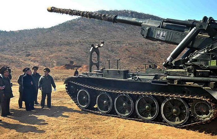 САУ M1978./ Фото: iz.ru