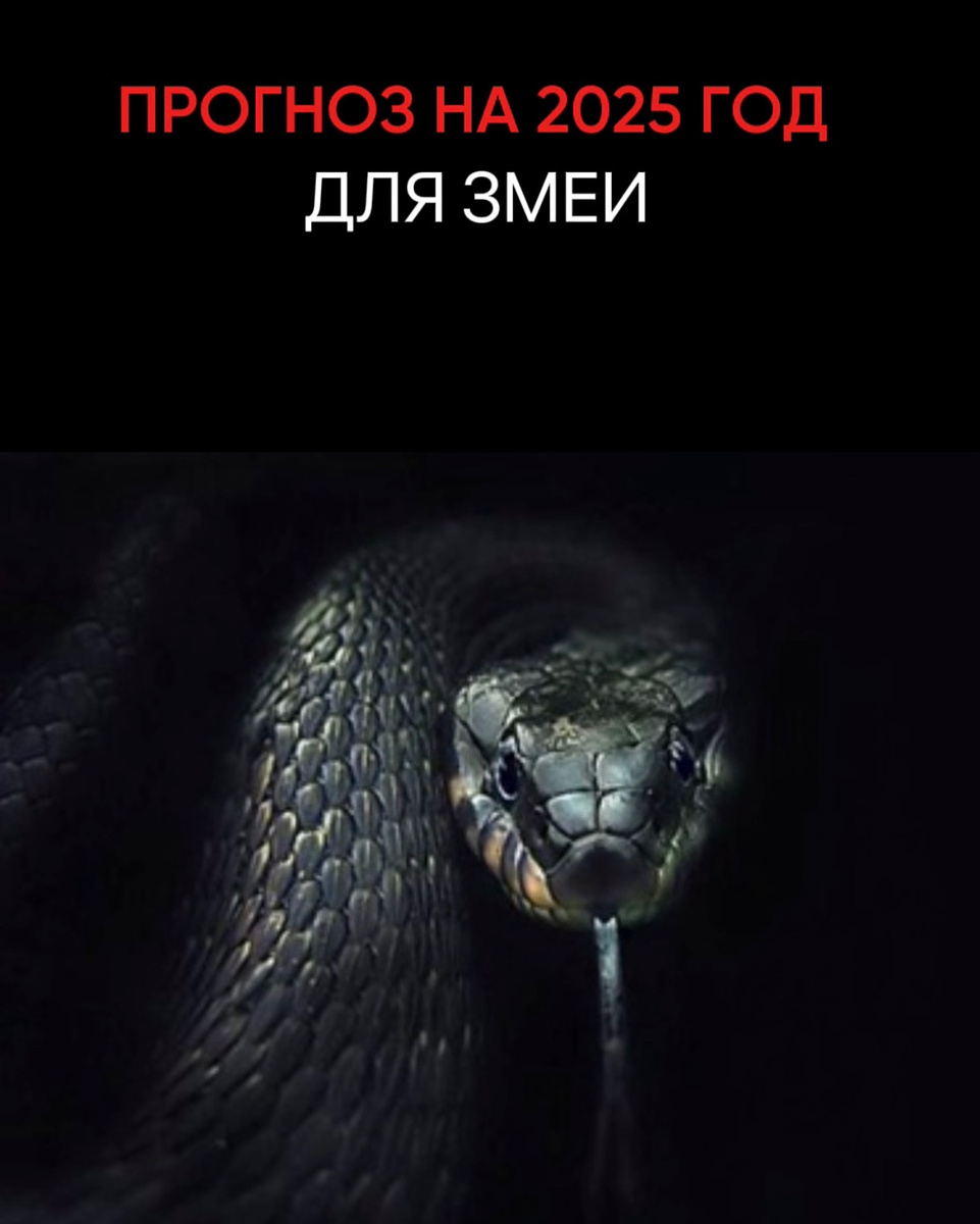 Индивидуальный прогноз по каждому элементу личности на 2025 год можно забрать здесь 👇