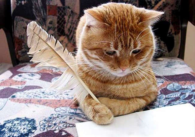 Пишу письмо 