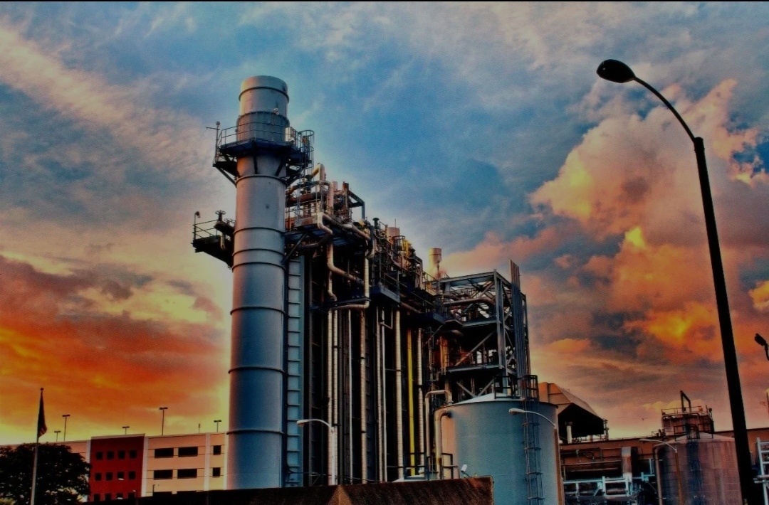 Фото из интернета.