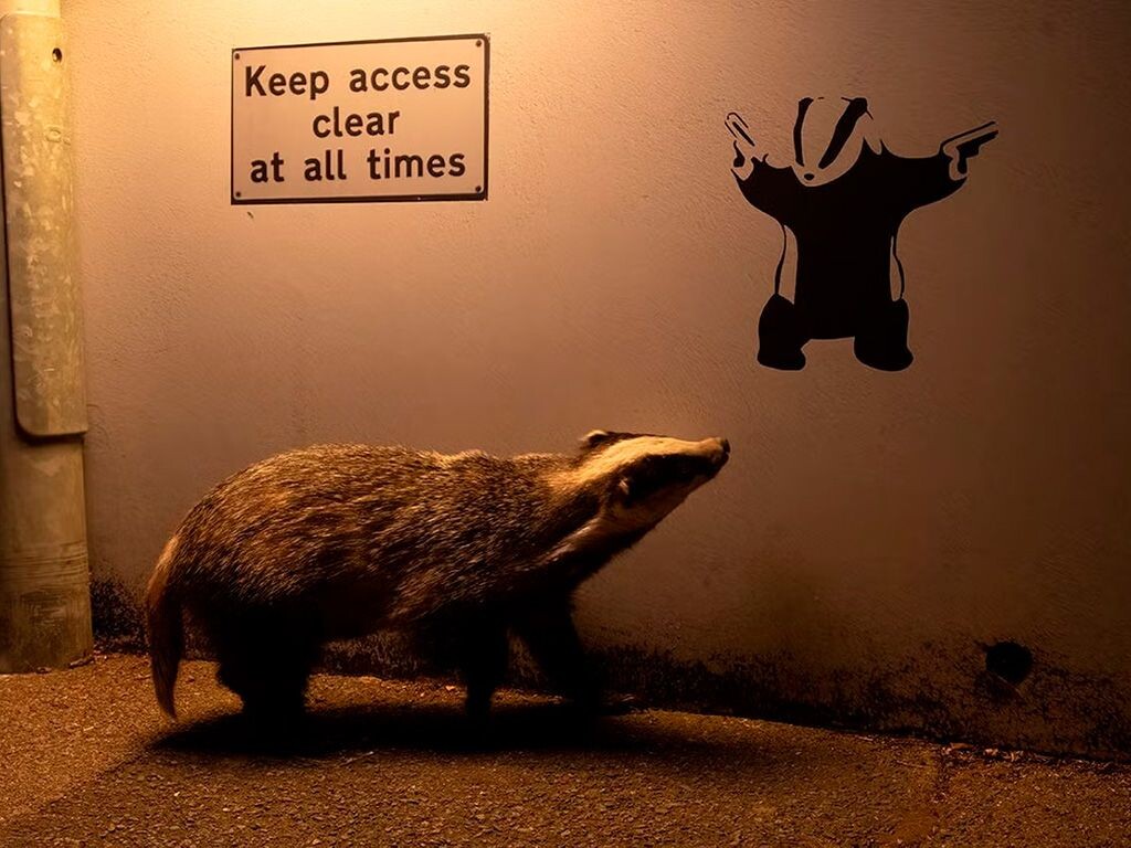     / Источник: © Ian Wood