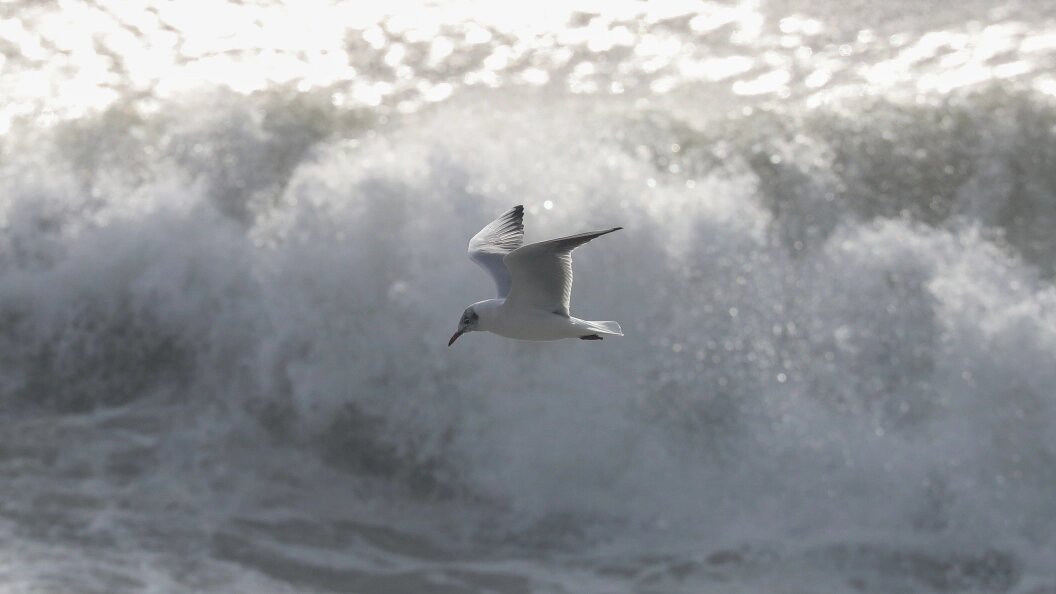    фото: Petrov Sergey/news.ru