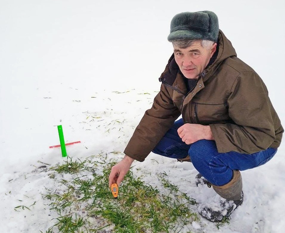 Озимые зерновые культуры обследуют специалисты Россельхозцентра. Фото rchuv.ru