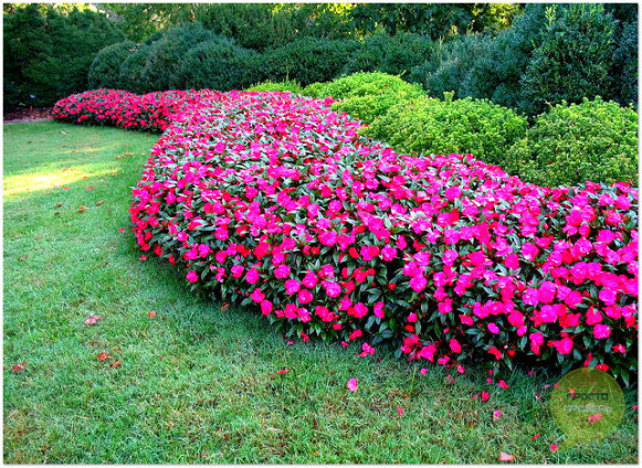 Фото из сети