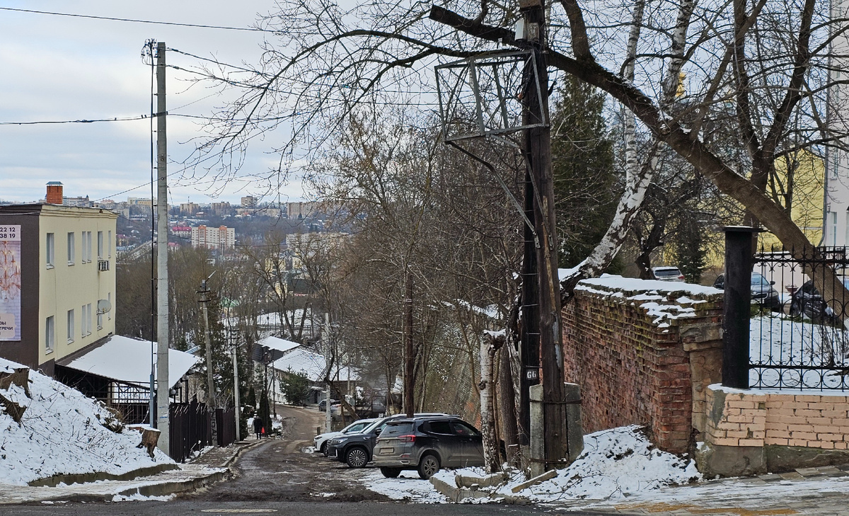 вид с ул. Козлова