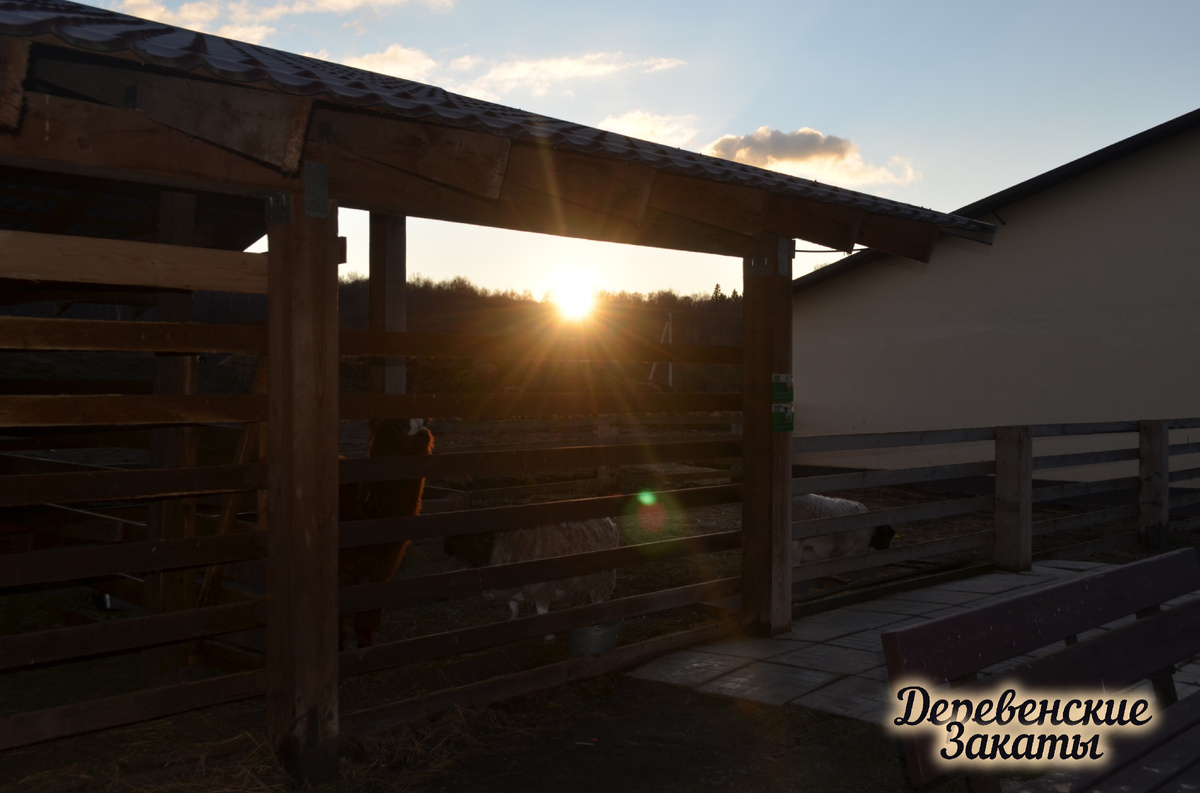 Эко ферма ,семейный клуб Бунин ручей