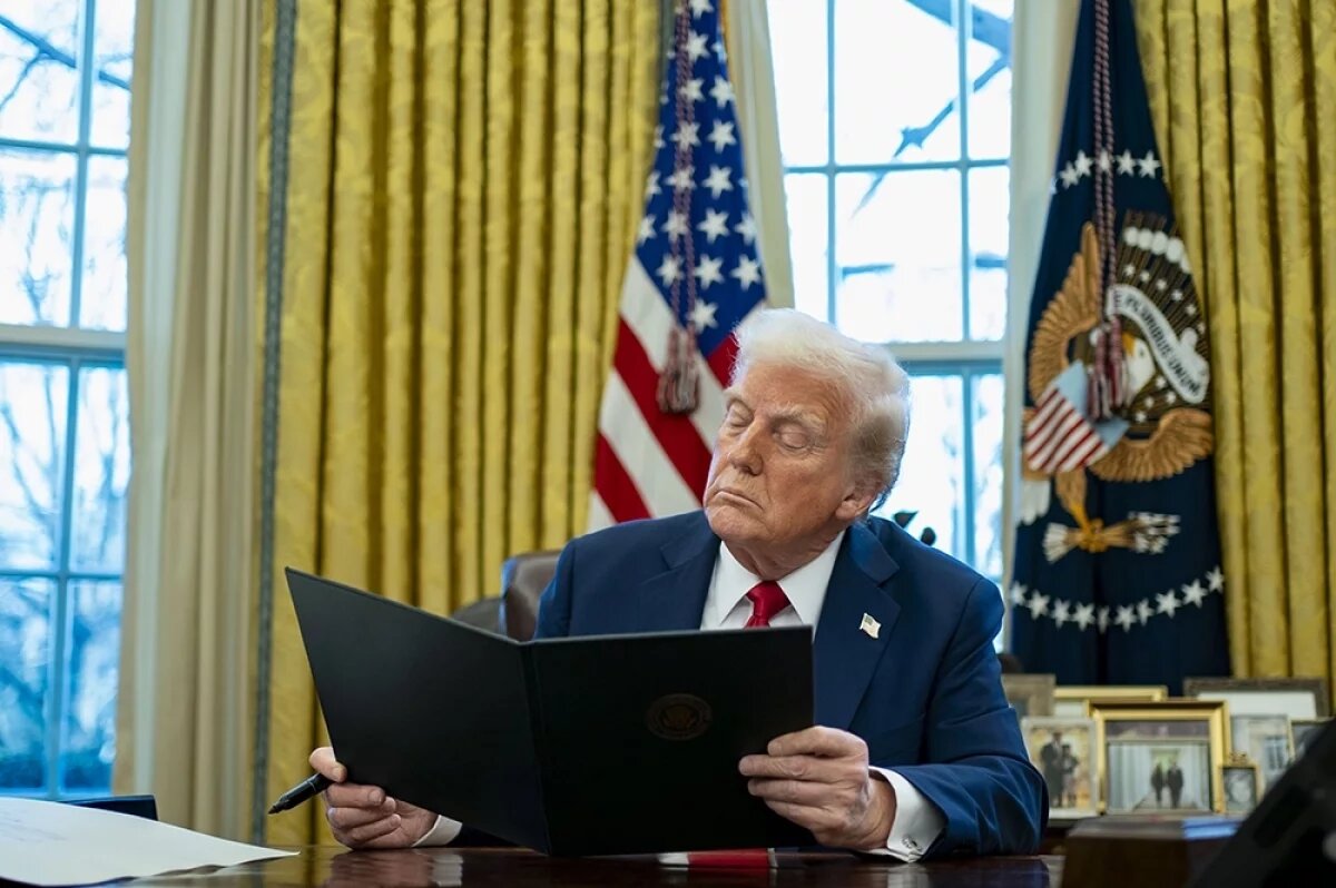    В поисках врага.