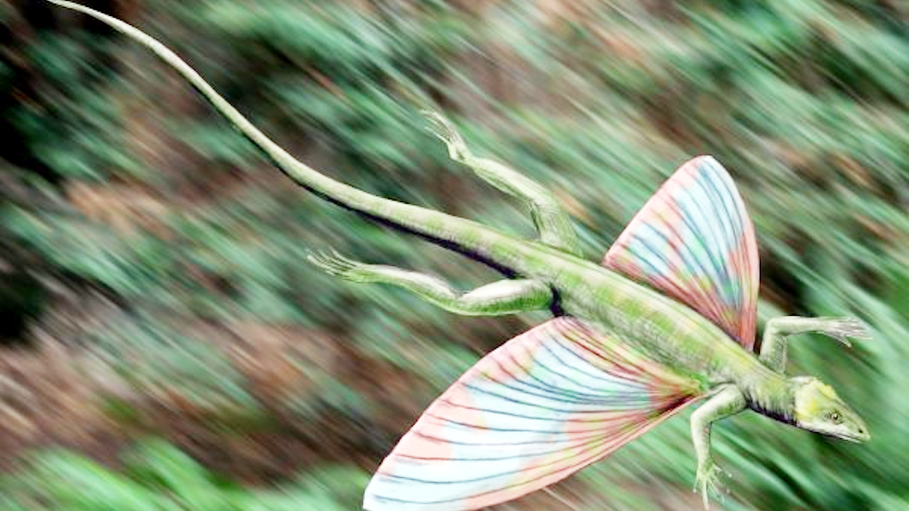 Уже первые лепидозавры умели летать. Крыльями, прада, не махали.