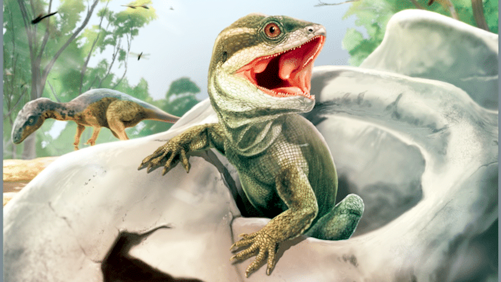 У первой ящерицы на голове был клюв.