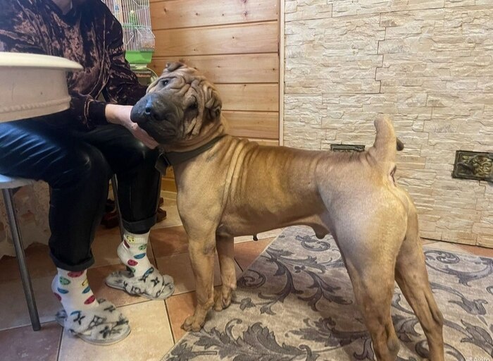 Листайте вправо, чтобы увидеть больше изображений