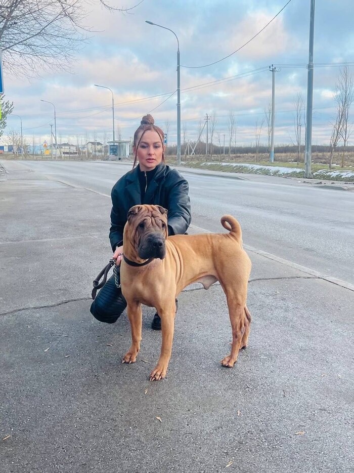 Листайте вправо, чтобы увидеть больше изображений