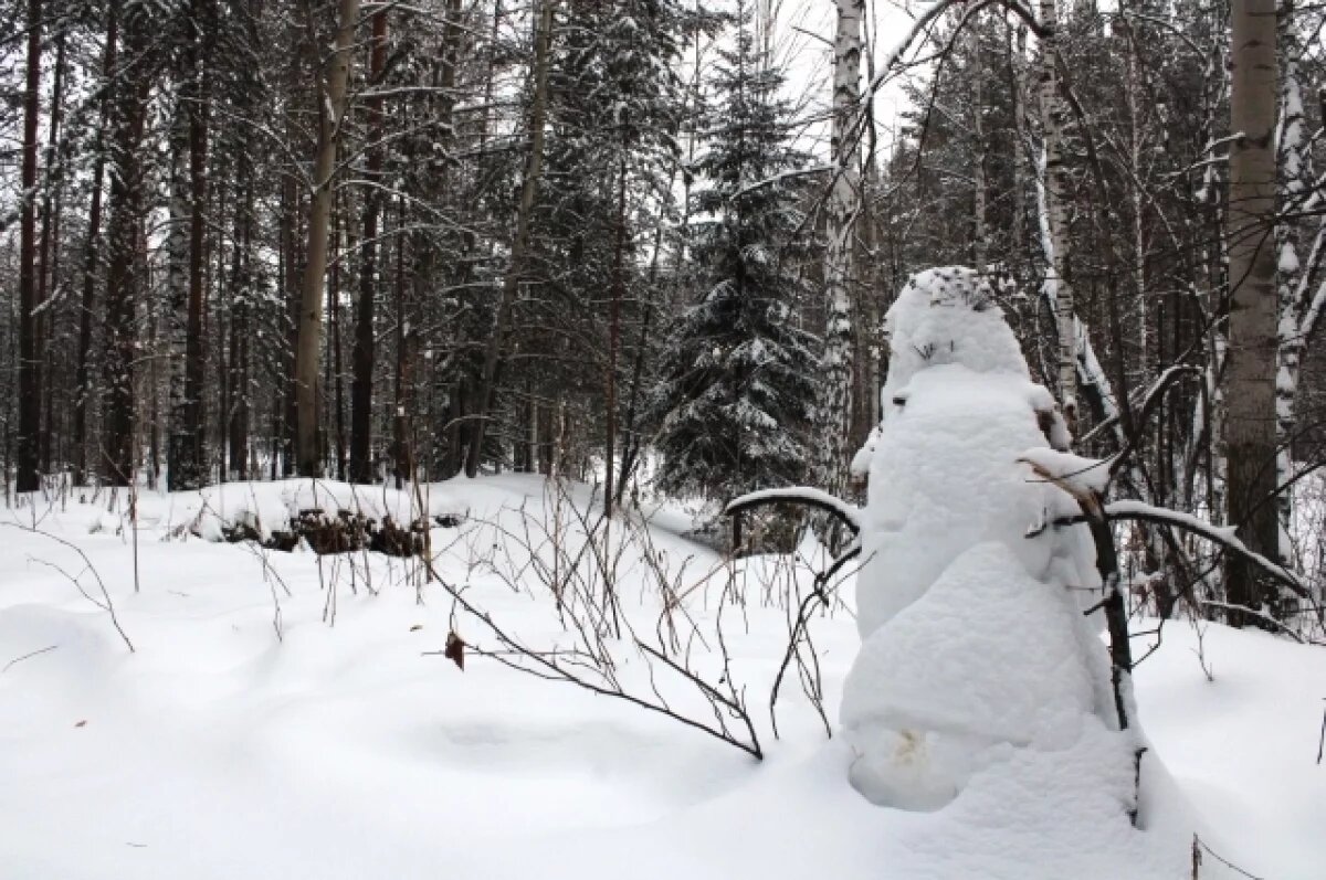    Аксиньин день считался серединой зимы, поэтому его называли Полузимницей.