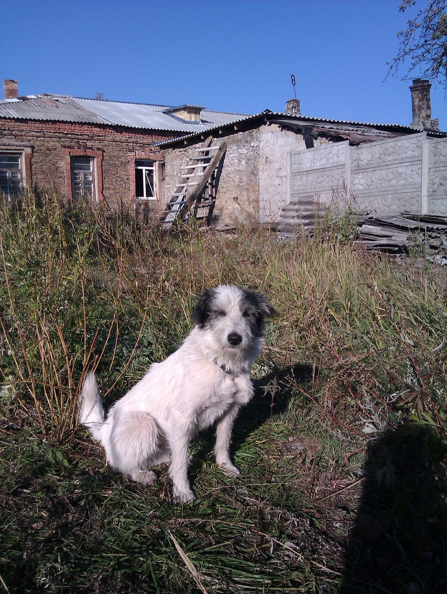 За 5 дней до смерти 10 Октября , было нереально тепло 