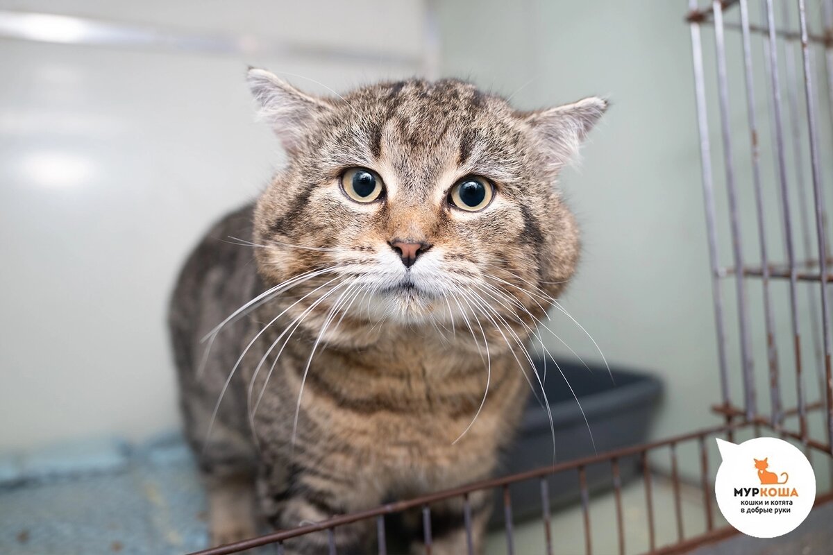 Француза нашли у загородного дома.