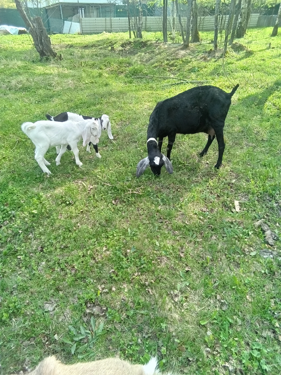 Фото автора.