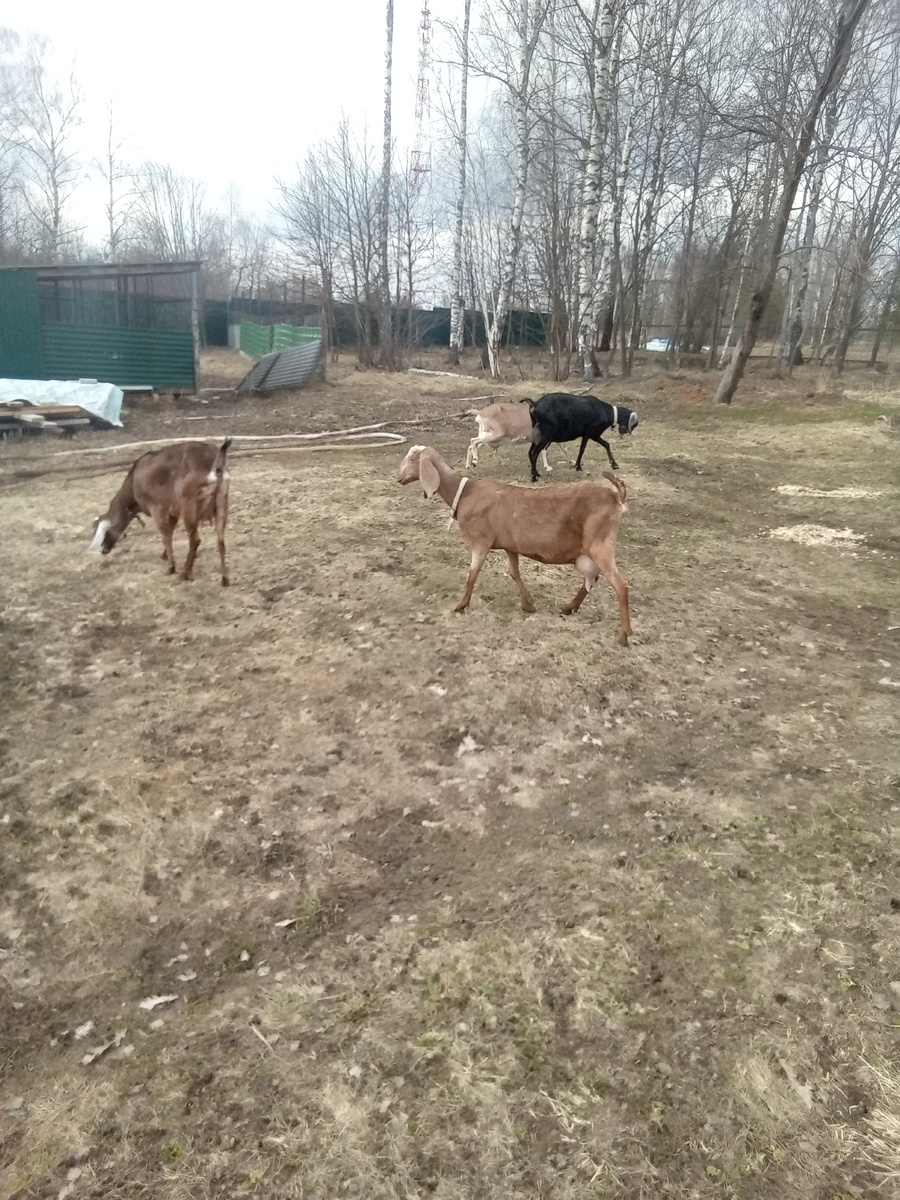 Фото автора.